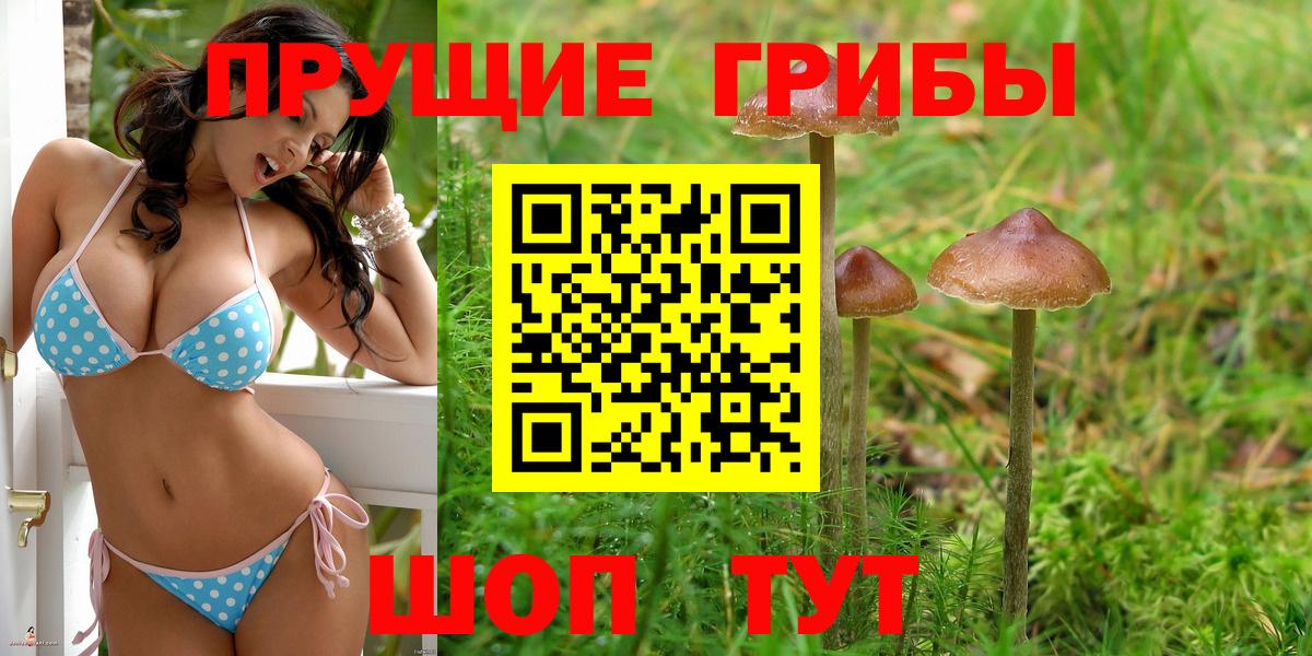 Алушта  купить наркотики цена  Вход с VPN  Псилоцибиновые грибы ЛСД 